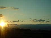 �V�����̑�����B�������s�t�߂̎ʐ^