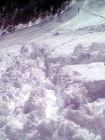 �G�܂ł̐V��