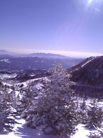  �Q�����f���猩�����i