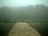 �����͌� �Ë{�Ղ̒���