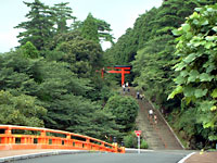 �����_�{�����