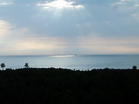 �z�e���̑����猩�����̊C