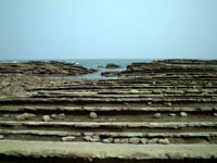 �S�̐����