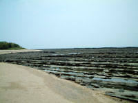 �S�̐����