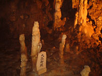 �ʐ� �u�啧��a�v