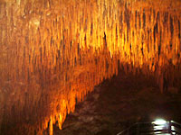 �ʐ� �u���V��v