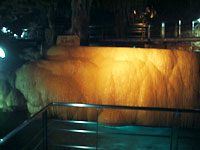 �ʐ� �u�����̔t�v