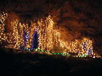 �ʐ� �u����̃I�[�����v