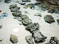 ����C������ �^�b�`�v�[��